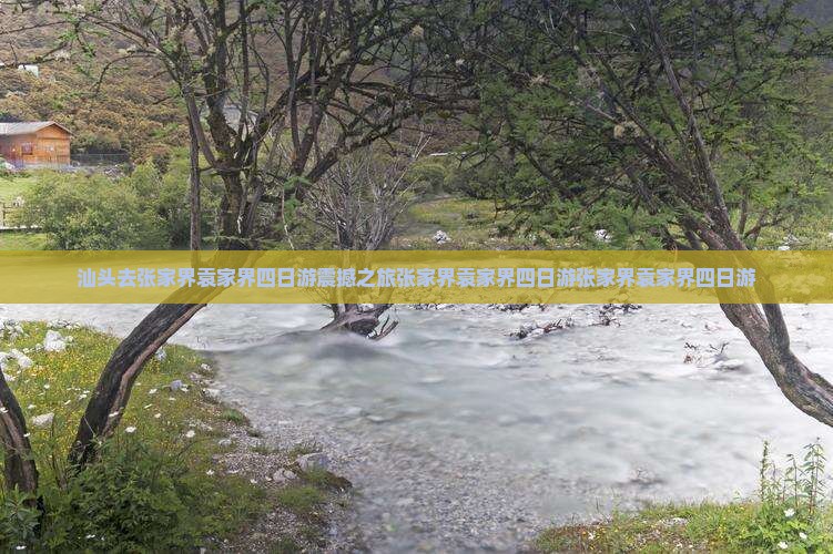 汕头去张家界袁家界四日游