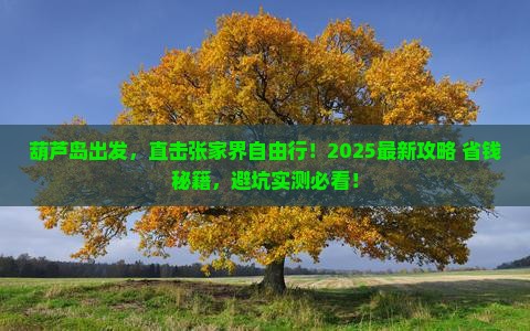葫芦岛去张家界自由行