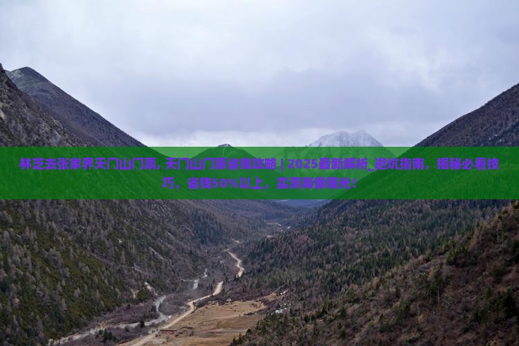 林芝去张家界天门山门票