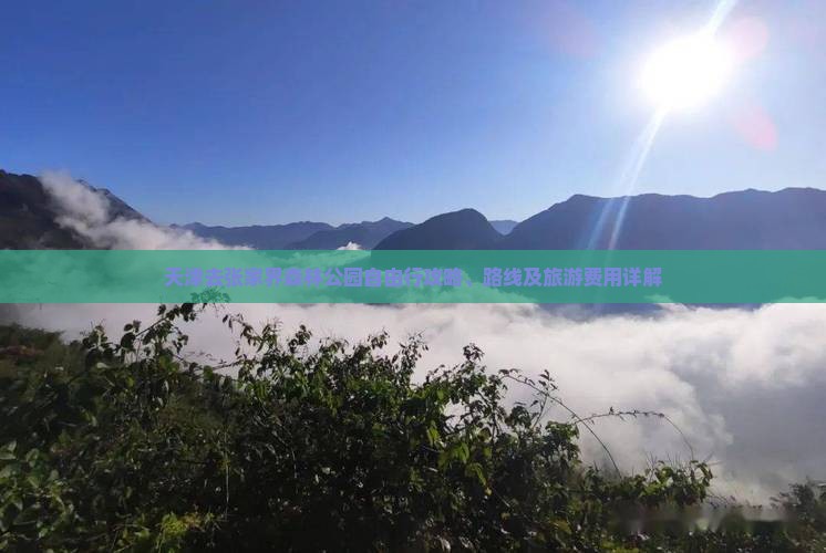 天津去张家界森林公园自由行