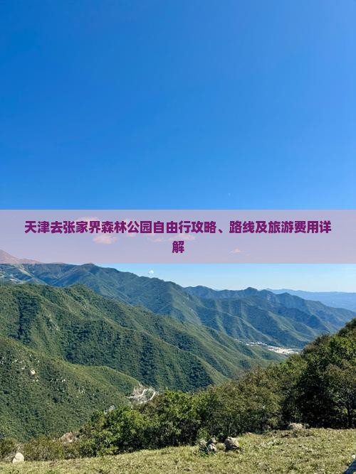 天津去张家界森林公园自由行