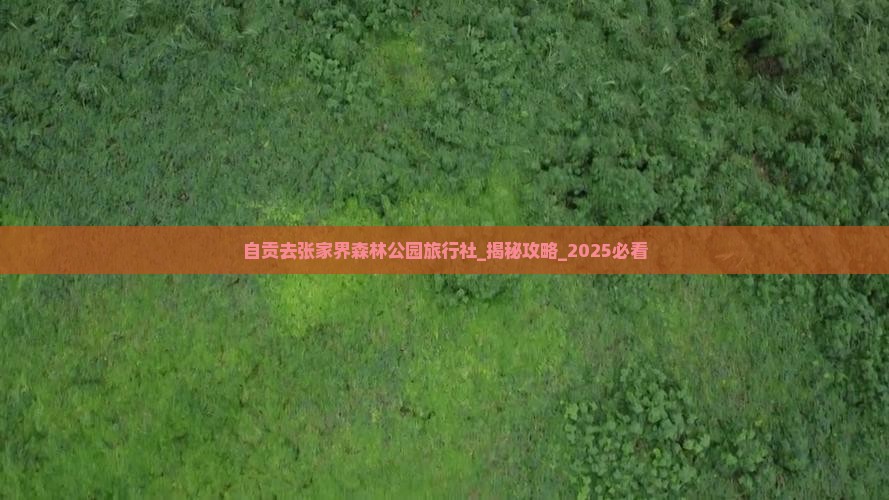 自贡去张家界森林公园旅行社