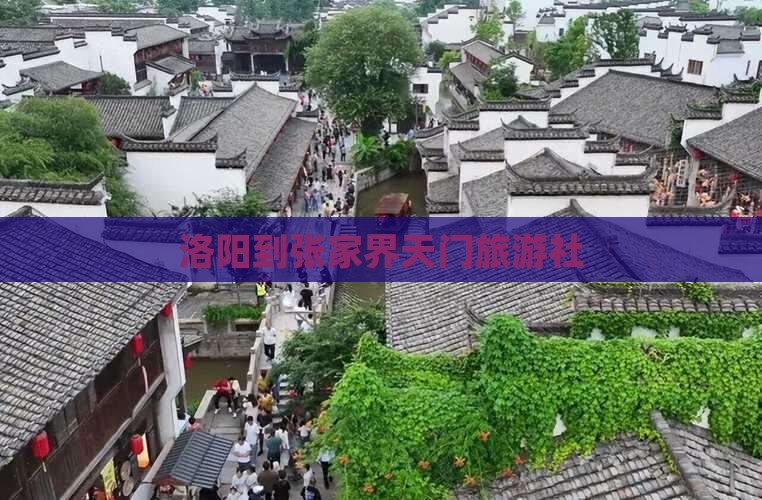 洛阳到张家界天门山旅行社