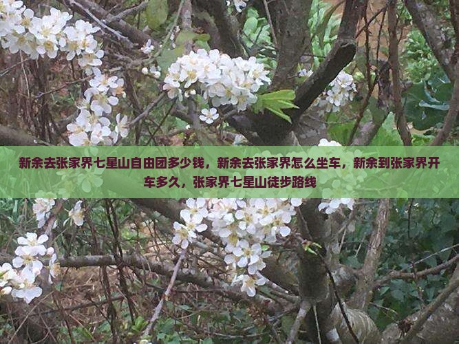新余去张家界七星山自由团