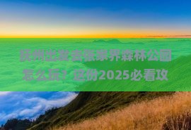 抚州到张家界森林公园攻略