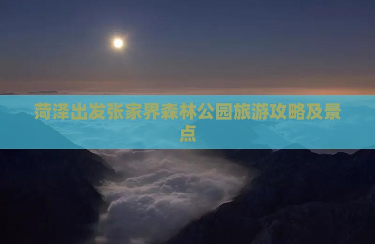 菏泽去张家界森林公园一日