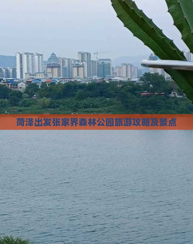 菏泽去张家界森林公园一日