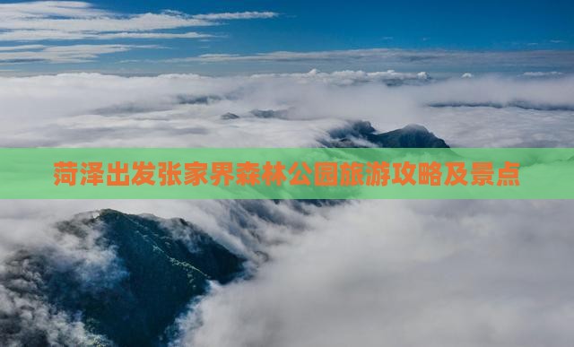 菏泽去张家界森林公园一日
