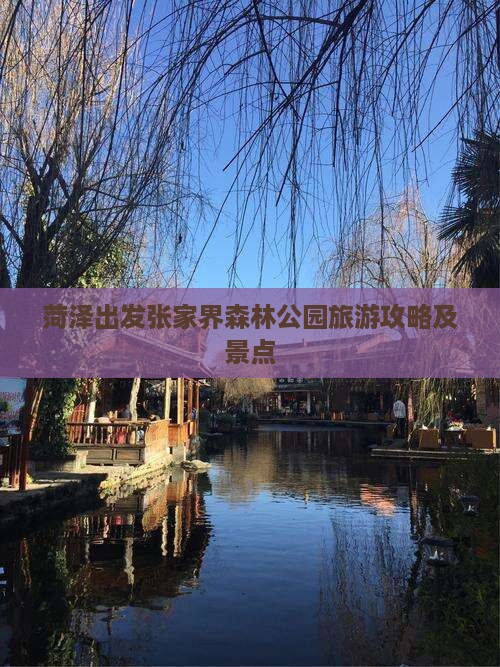 菏泽去张家界森林公园一日