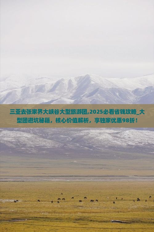 三亚去张家界大峡谷大型旅游团