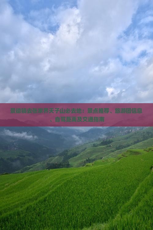 景德镇去张家界天子山必去地