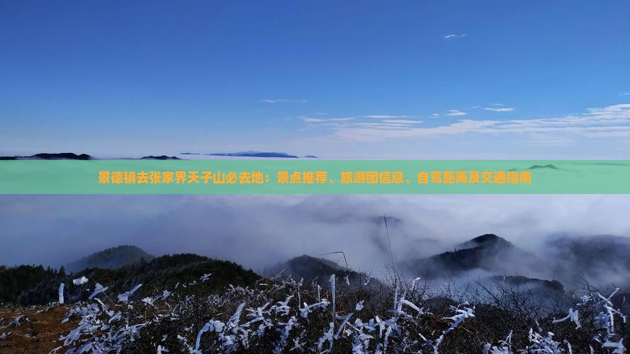 景德镇去张家界天子山必去地