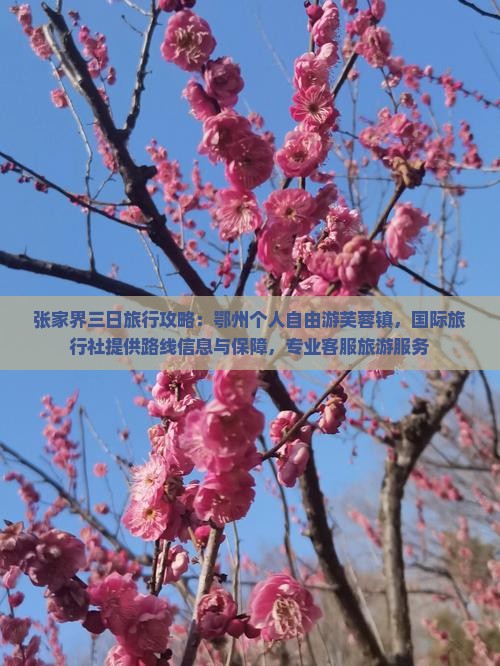 鄂州去张家界芙蓉镇个人游