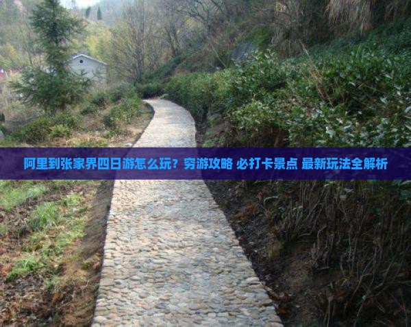阿里到张家界四日游