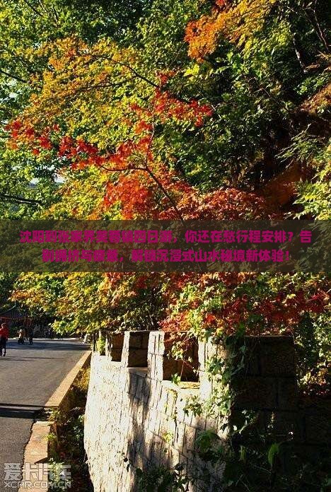 沈阳到张家界芙蓉镇四日游