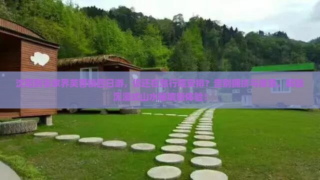 沈阳到张家界芙蓉镇四日游