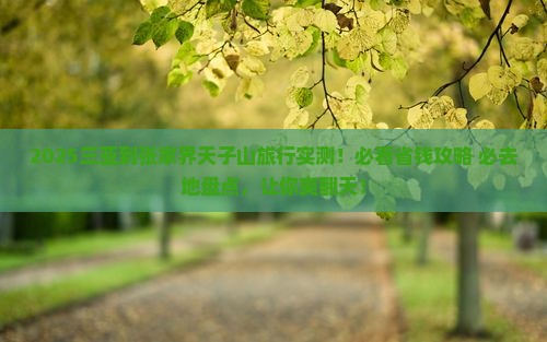 三亚到张家界天子山必去地