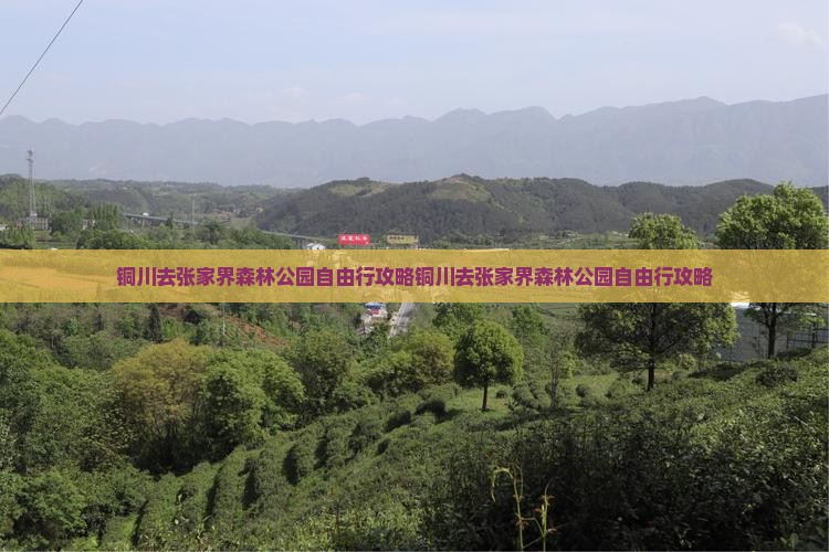 铜川去张家界森林公园自由行