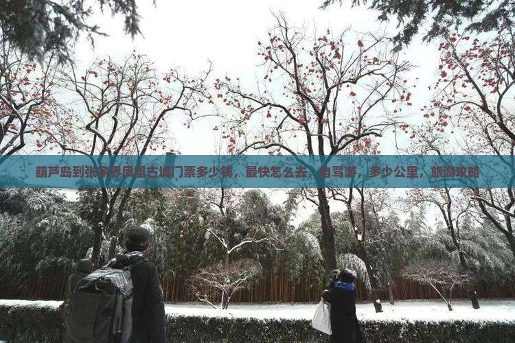葫芦岛到张家界凤凰古城门票
