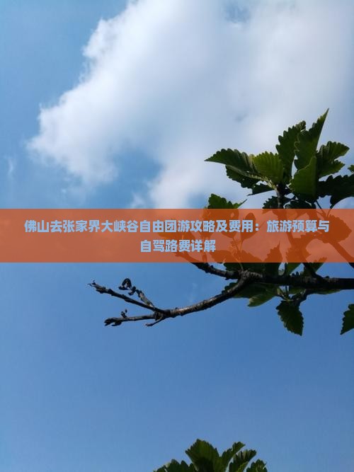 佛山去张家界大峡谷自由团
