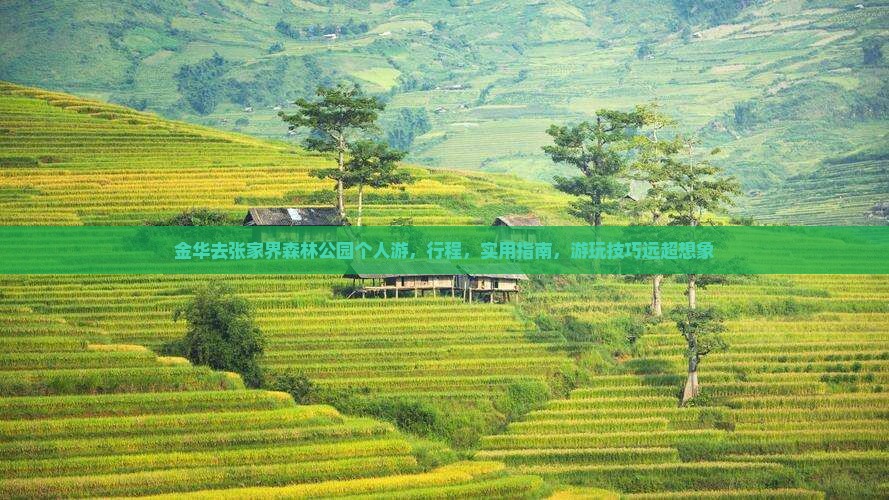 金华去张家界森林公园个人游