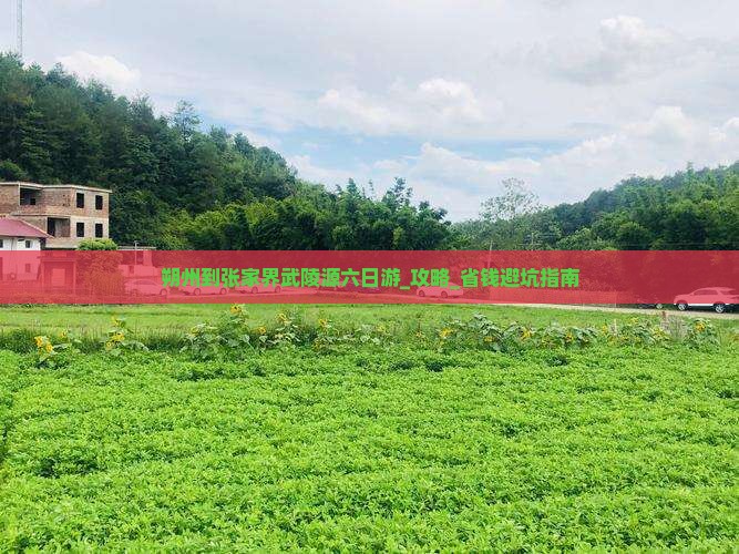 朔州到张家界武陵源六日游