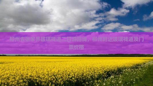 柳州去张家界玻璃栈道二日游