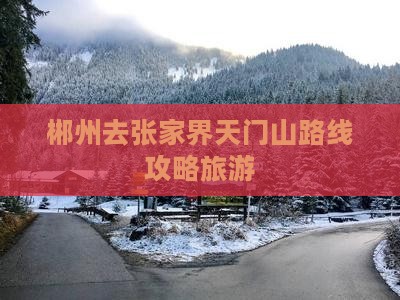 郴州去张家界天门山个人游