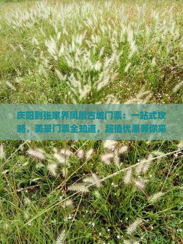 庆阳到张家界凤凰古城门票