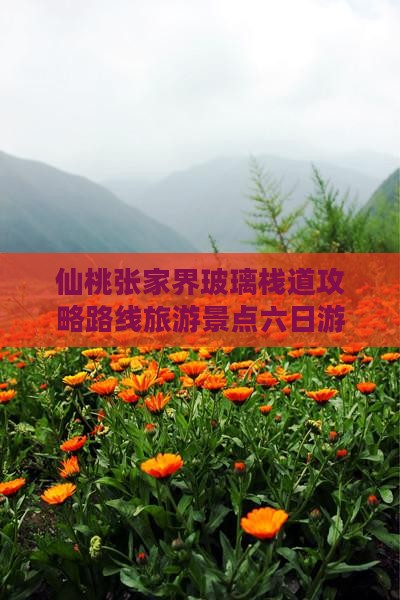 仙桃去张家界玻璃栈道六日游
