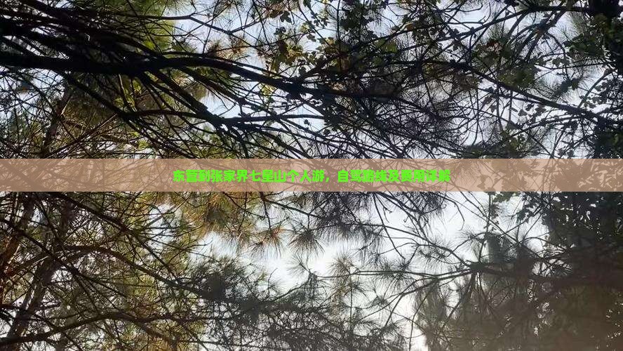 东营到张家界七星山个人游