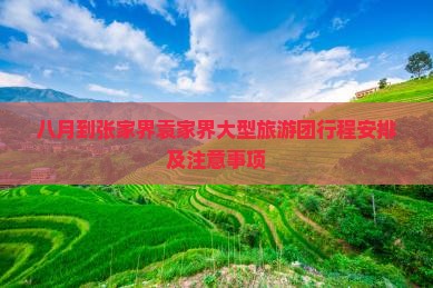 八月到张家界袁家界大型旅游团