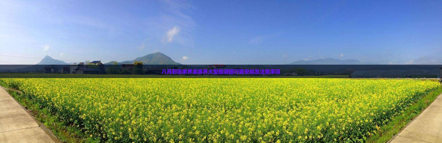 八月到张家界袁家界大型旅游团