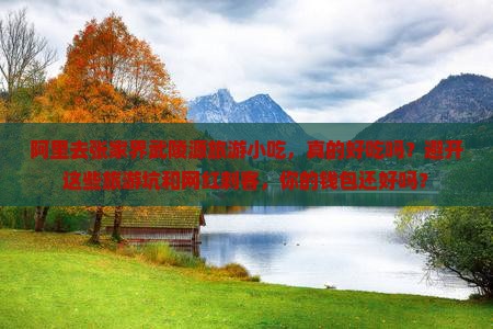 阿里去张家界武陵源旅游小吃