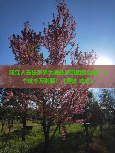 阳江去张家界大峡谷大型旅游团