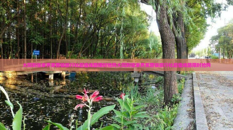 大同到张家界芙蓉镇旅行社