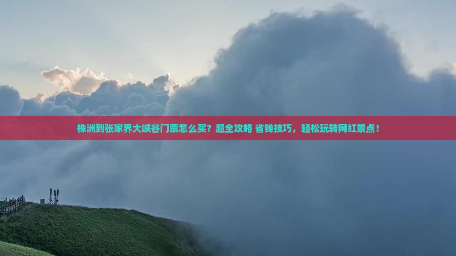 株洲到张家界大峡谷门票