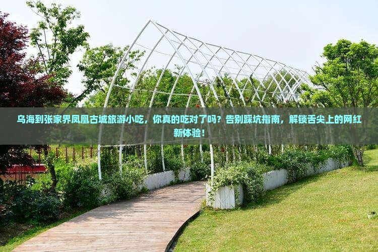 乌海到张家界凤凰古城旅游小吃