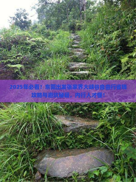 东莞到张家界大峡谷自由行