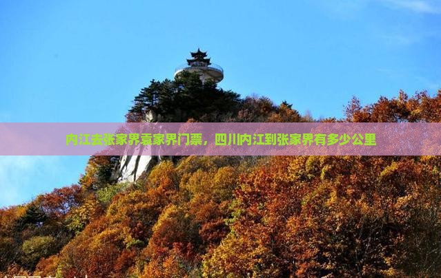 内江去张家界袁家界门票