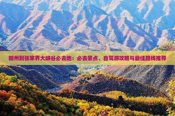 赣州到张家界大峡谷必去地