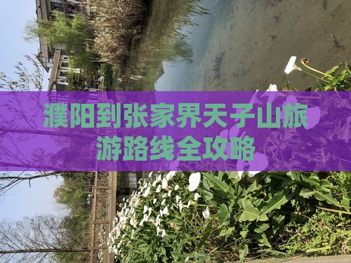 濮阳去张家界天子山三日游