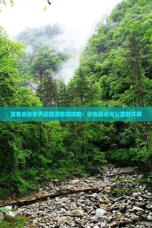 宜春去张家界武陵源必去地