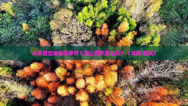 东营到张家界七星山四日游