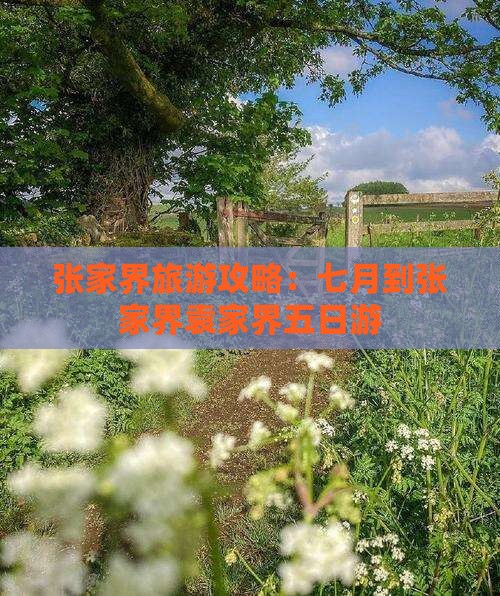 七月到张家界袁家界五日游