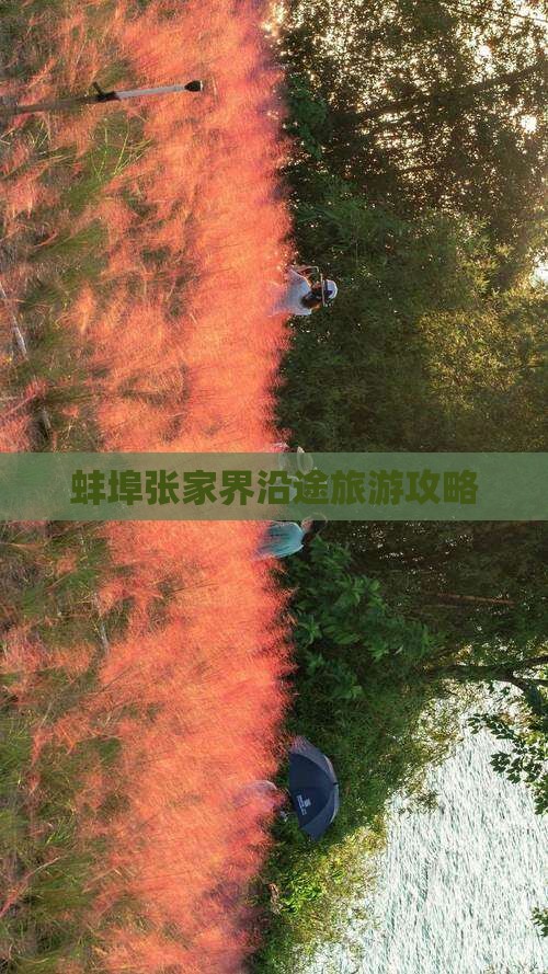 蚌埠去张家界景点