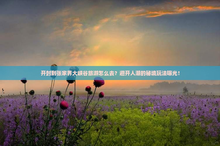 开封到张家界大峡谷旅游