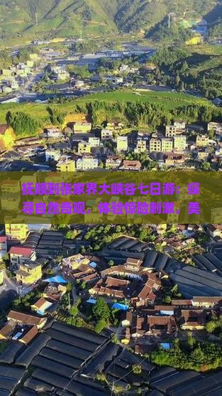 抚顺到张家界大峡谷七日游