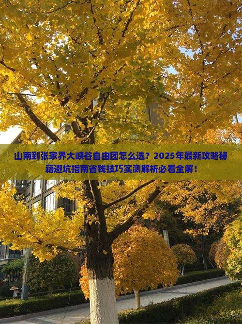山南到张家界大峡谷自由团