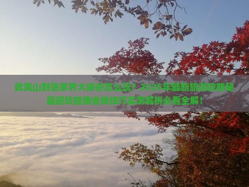 武夷山到张家界大峡谷旅游